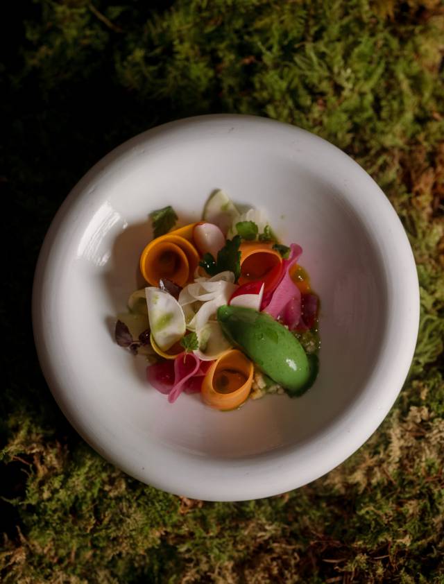 Fine Dining im silva Restaurant: Bunte Nudeln auf einem Moosbett, inspiriert von der Natur und dem Wald